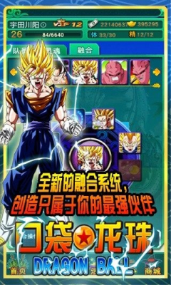 口袋龙珠安卓下载v1.0