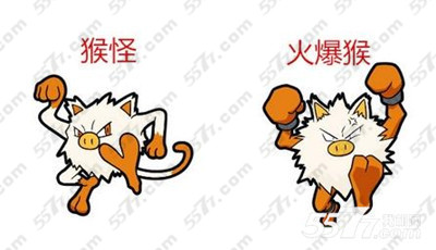 口袋妖怪3d猴怪进化攻略