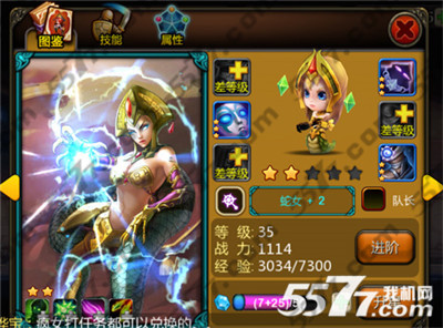 天天英雄后排英雄Top5