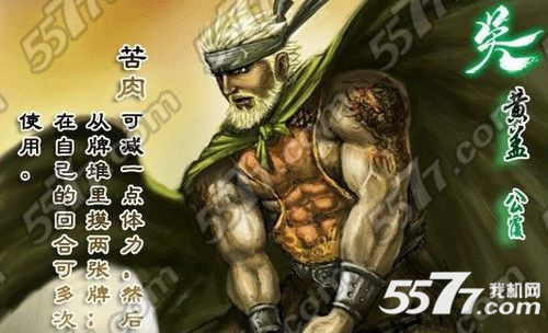 三国杀传奇黄盖分析