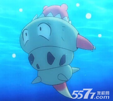 水系精灵top5 呆河马