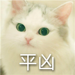 馒头猫咪超凶表情包