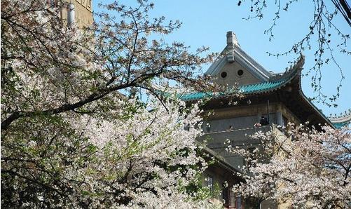 2016武大樱花预约app软件下载|2016武大樱花