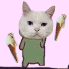 网红猫可爱表情包