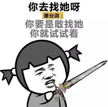女生的潜台词表情包