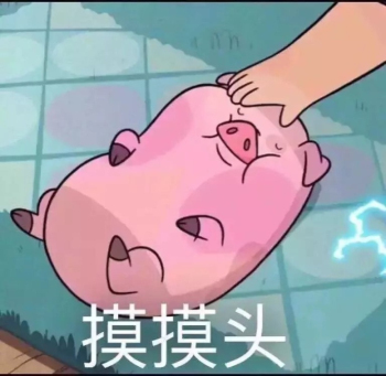 你是我全世界最喜欢的猪表情下载|你是我全的音图片初未来表情包a图片图片