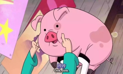 你是我全世界最喜欢的猪表情下载|你是我全毛驴搞笑图片图片