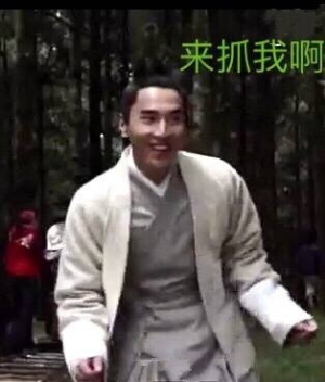 赵又廷搞笑表情包下载|三生三世十里桃花夜华