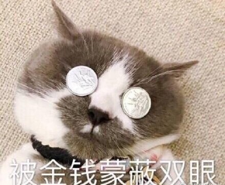 被金钱蒙蔽了双眼的猫咪表情包