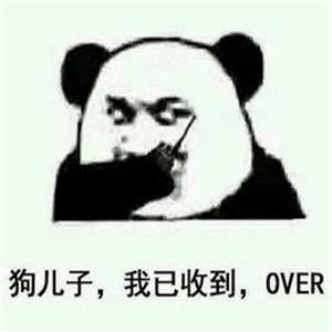 日常保持小火苗收到over表情包