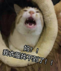 猫喊妈表情包下载-动物喊妈表情包原图去水印版下载