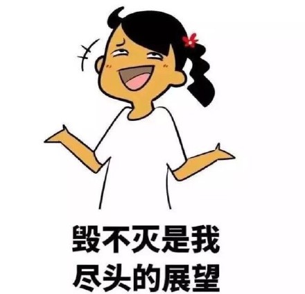 2017高考加油崔姐表情包(野子歌词改编)