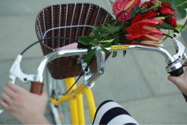 ofo公主车app下载|ofo公主车最新版 _5577我机