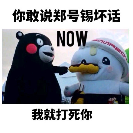 郑号锡迷妹表情包