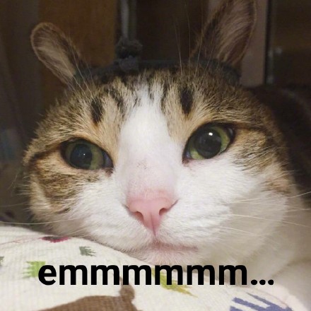 你有病吧猫咪表情包