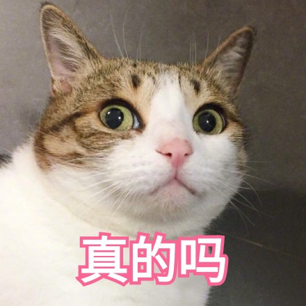 你有病吧表情问号猫咪可爱表情包女孩图片