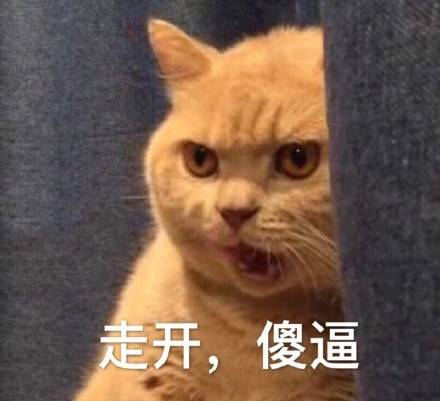 暗中委屈橘猫表情包下载|暗中委屈橘猫表情包