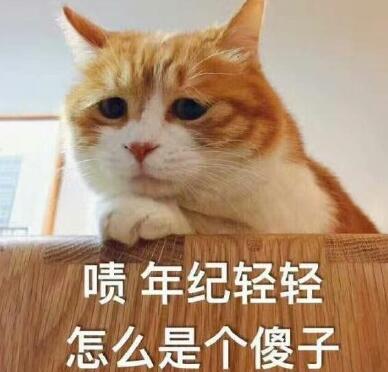 你别是个傻子吧表情包