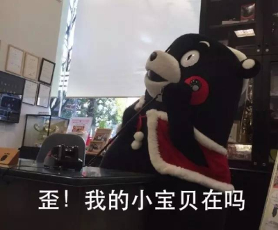 熊本熊打电话的照片金色闪光dnf搞笑图图片