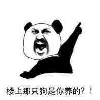 轻抚楼上狗头gif表情包