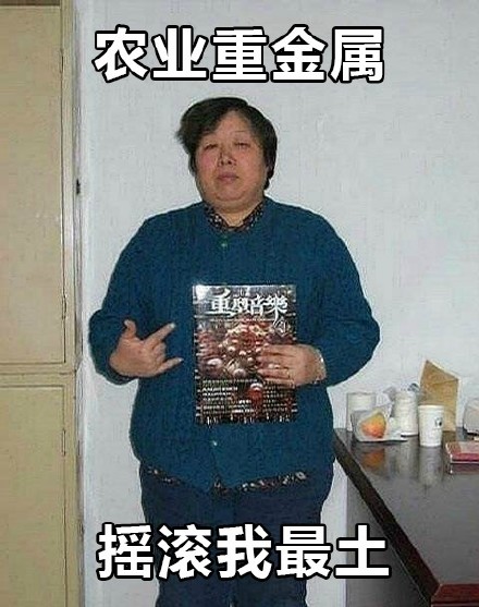 中国表情风大全(辣表情系列)大妈包安装眼睛的猫下载图片