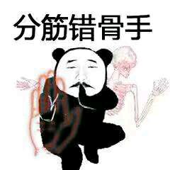 熊猫武功招数过招表情包下载-金馆长熊猫请赐教表情包下载 _5577安卓
