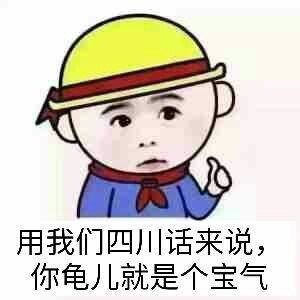 四川骂人表情搞笑图片郑海丽搞笑表情包图片