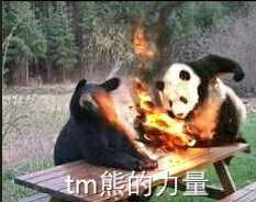 特么熊的力量表情包