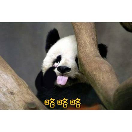 略略略反击表情包