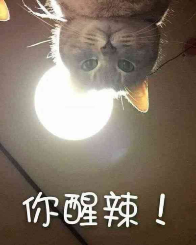 你醒啦表情包下载|你醒啦西游记图片 _5577我