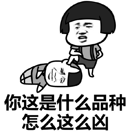 你品种表情凶表情下载|你这是软件这是包v品种图片