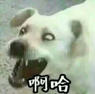 动画啊哈表情表情天天娘子包开心图片