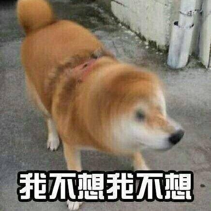 人要学会拒绝表情包