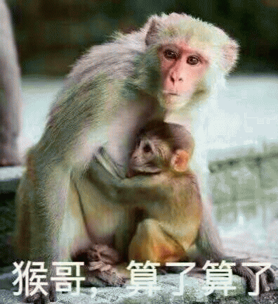 大哥二狗鸡哥算了算了系列表情包