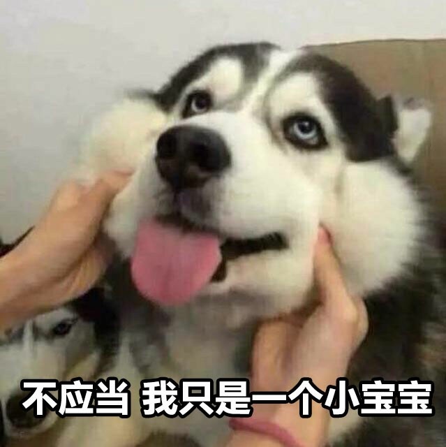 不应当因为我咪表一只小猫只是情下载|不应表情包此话有理图片