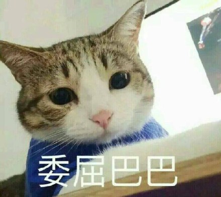 委屈巴巴表情图片大全的带刀包表情大全睡觉图片图片