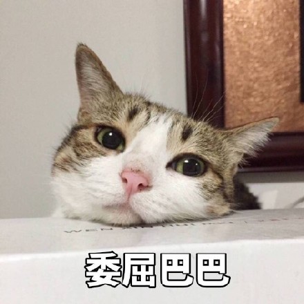 委屈巴巴表情自己服表情包图片
