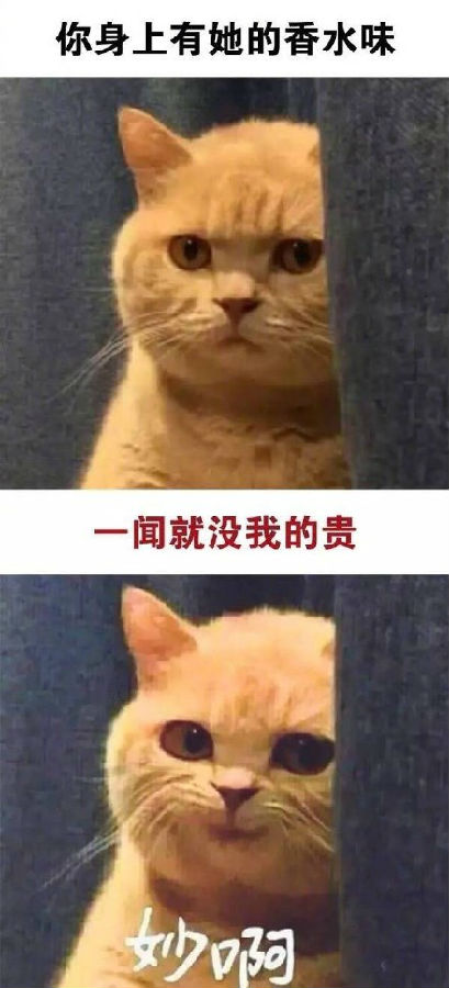 首页 应用程序 生活.八卦.