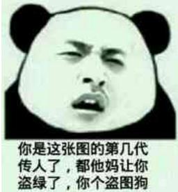 图都被你盗绿了表情包高清无水印版