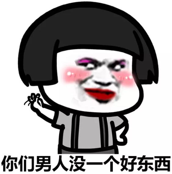 女人都是骗子表情包