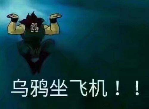 阿福乌鸦坐飞机表情包|乌鸦坐飞机表情包 _5577我机网