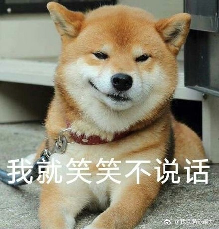 柴犬王之蔑视表情的回表情农村包731000图片