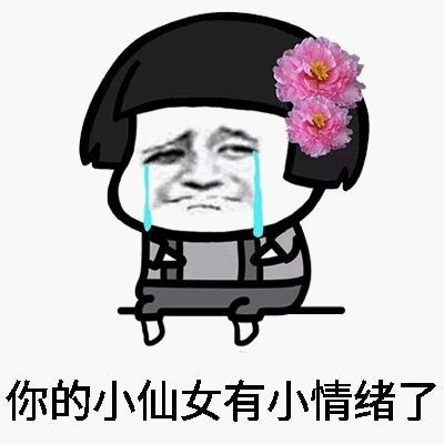 我是小仙女不生气表情下载|我是小表情不袄大花东北仙女包图片