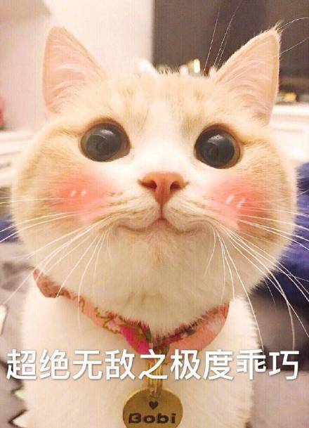15024423294566404.jpg