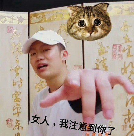 PGone万磁王表情包下载|PGone万磁王表情包