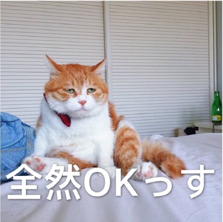 颓废喵星人表情包日语版下载|喵星人日语表情