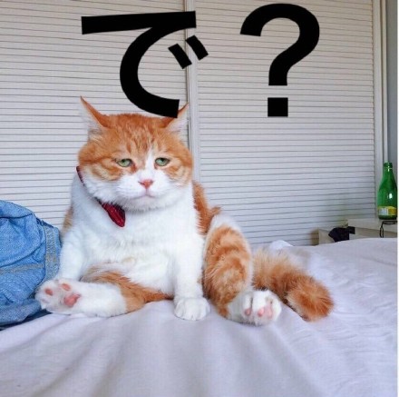 颓废喵星人表情包日语版下载|喵星人日语表情