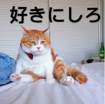 喵星人日语表情包下载