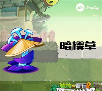 求一个植物大战僵尸2未来世界的修改器改金币和钻石的