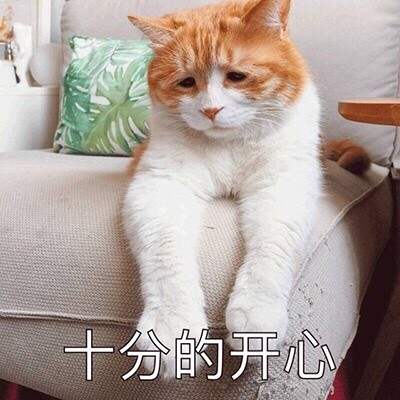 一只戏精的猫表情包